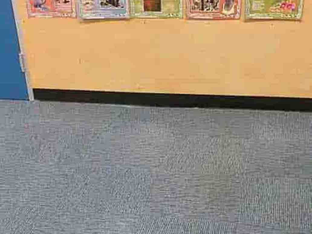 Synergy integrated services help you keep your retail sites looking good as new