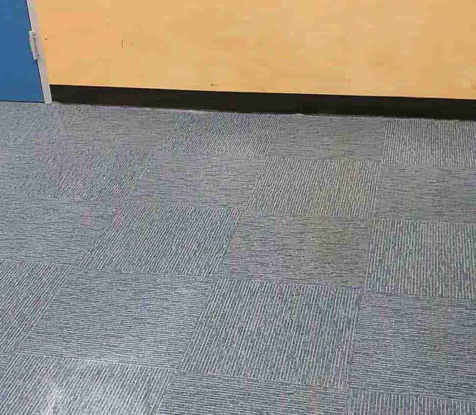 Carpet Cleaning Services