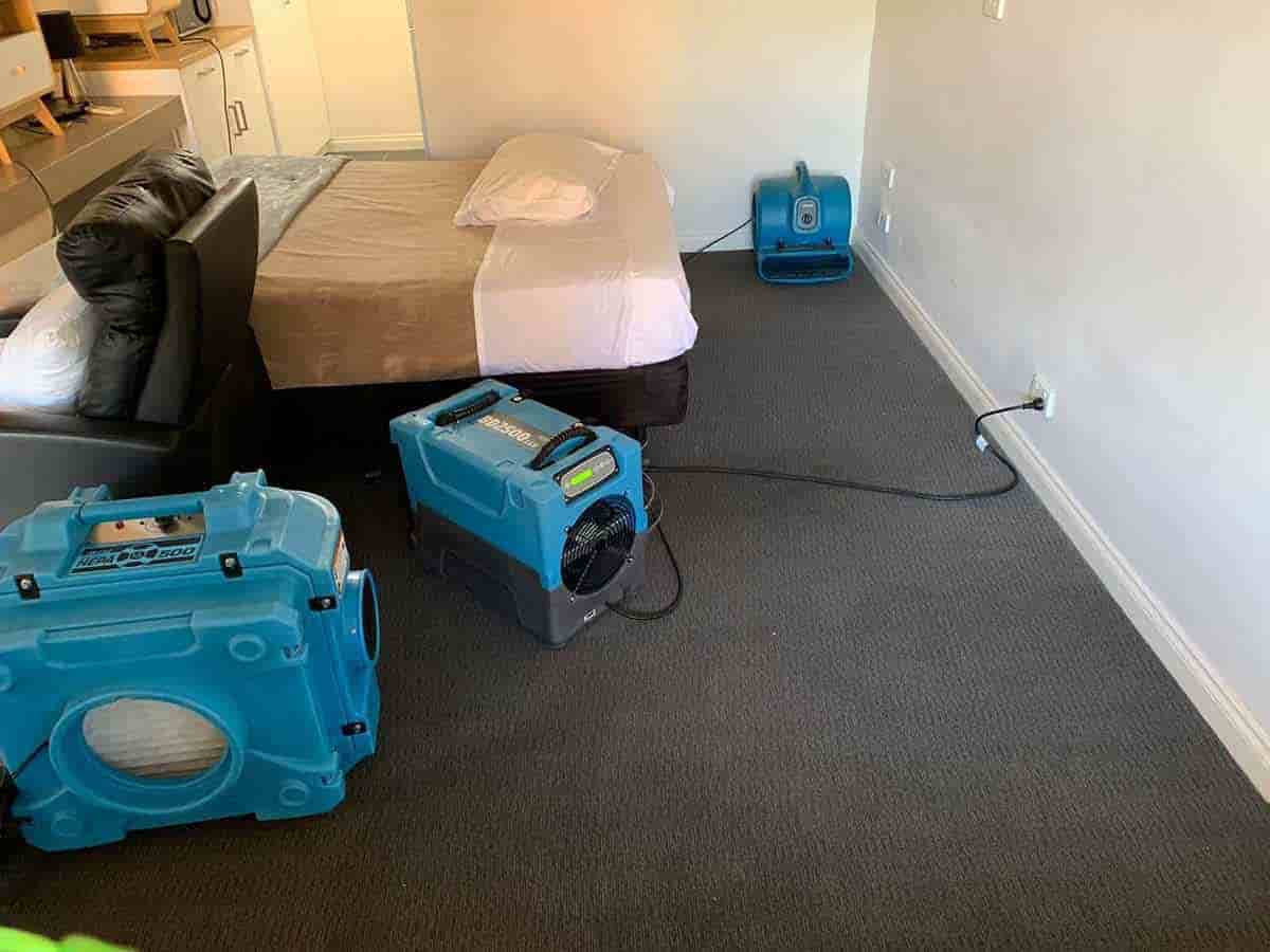 Flood Damage Restoration Services