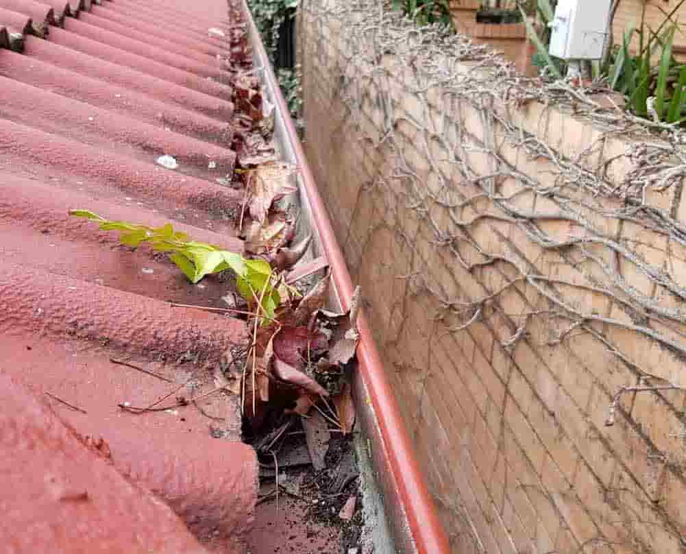 Gutter Cleaning Services